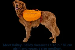 Pets-Ruffwear Approach Dog Backpack