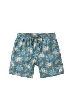 Swimwear|Shorts-Katin Benji Volley for Men (FINAL SALE) Atlantic Green