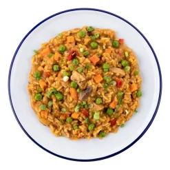 Food-Mountain House Chicken Teriyaki with Rice One Color