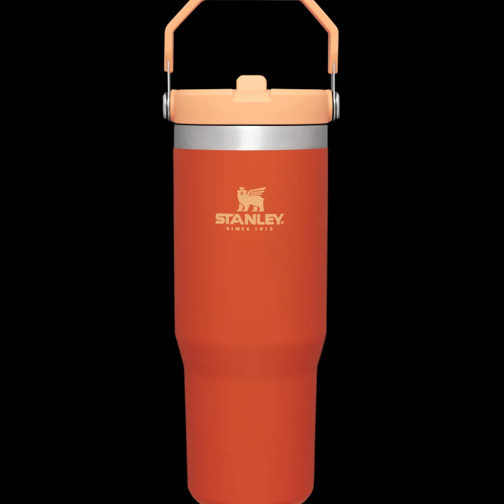 Bottles & Mugs-Stanley The IceFlow Flip Straw Tumbler - 30oz